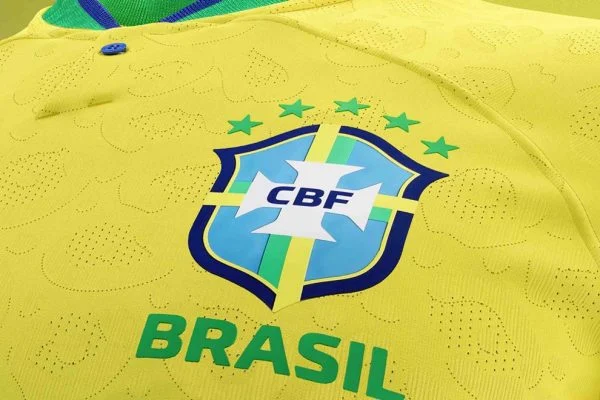 Jogador da Seleção Brasileira e ex-Cruzeiro rasga elogios pelo acesso à Série A