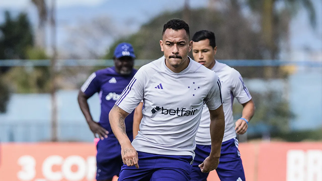 Papagaio Cruzeiro