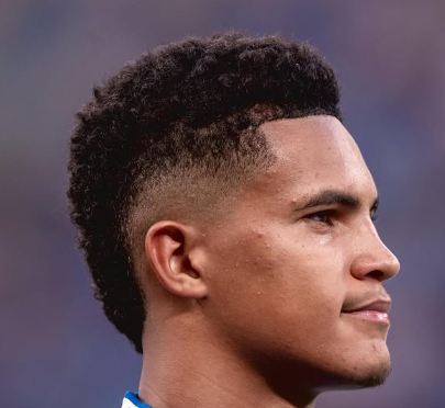 image para ilustrar o artigo