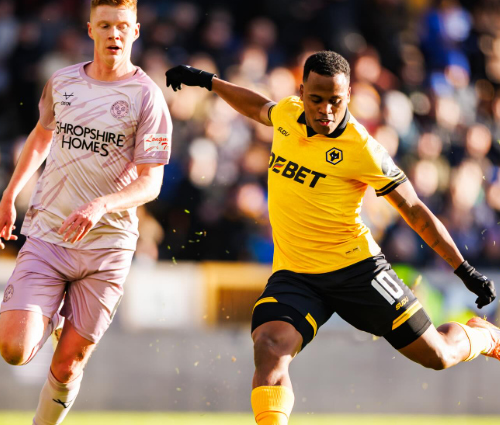 image para ilustrar o artigo