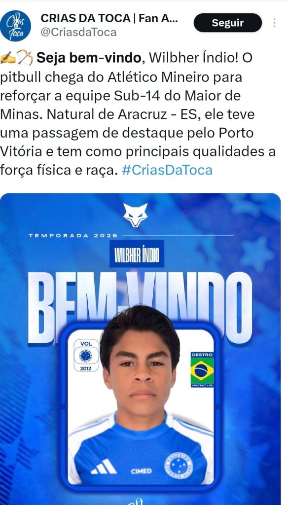 image para ilustrar o artigo