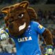 Raposa Cruzeirense