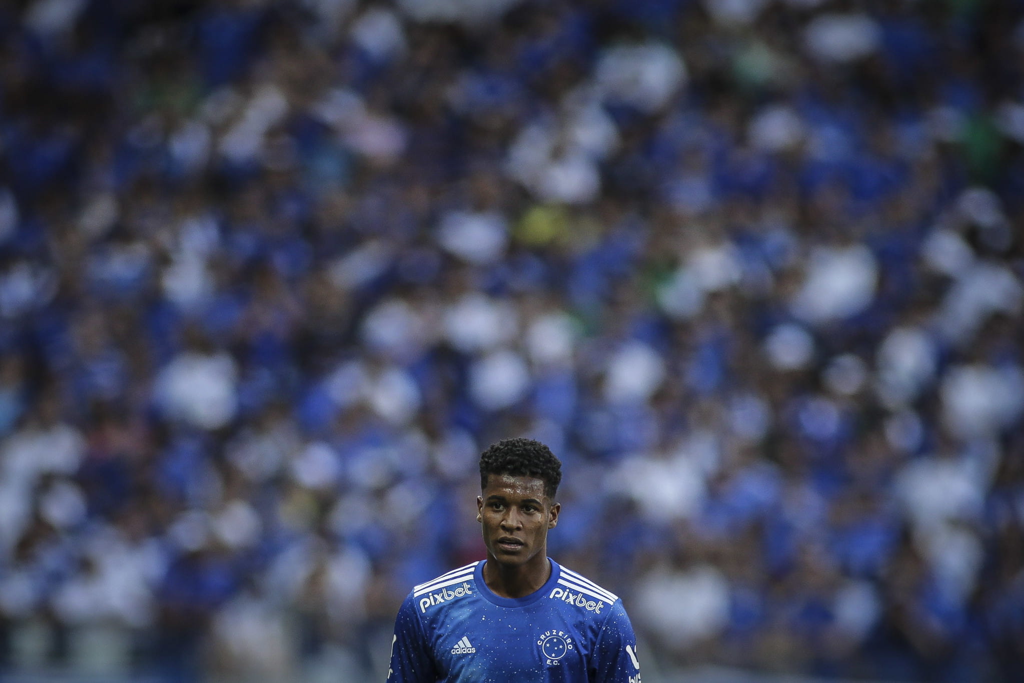 Cruzeiro x Bahia. Foto: Divulgação/Reprodução.