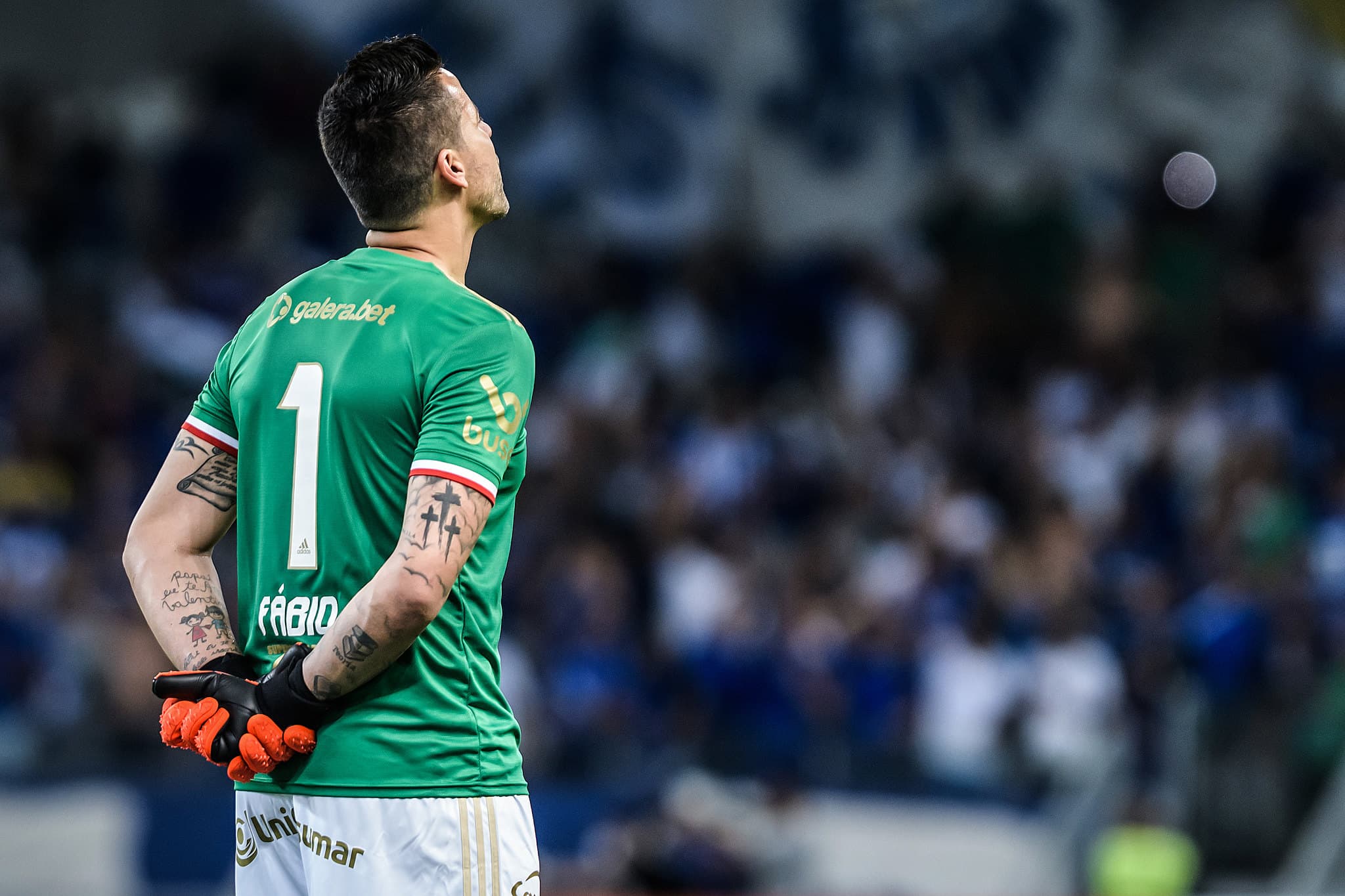 Fábio. Foto: Divulgação/Reprodução.