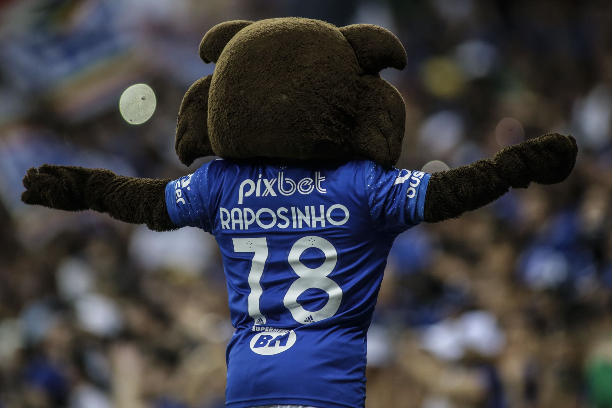 Raposinho
