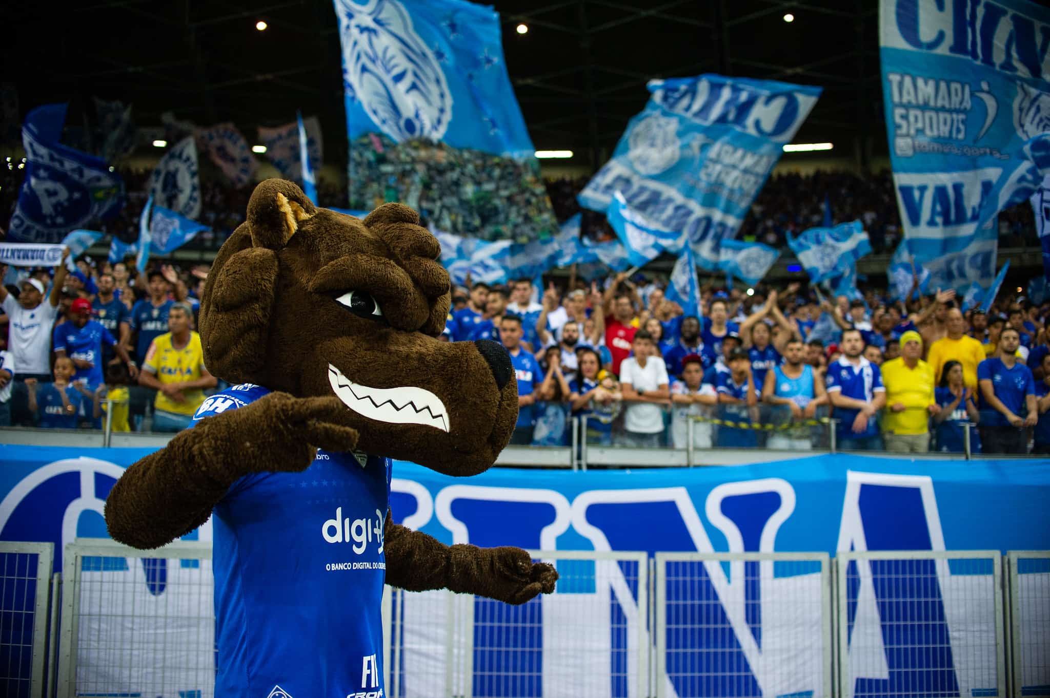Torcida Cruzeiro