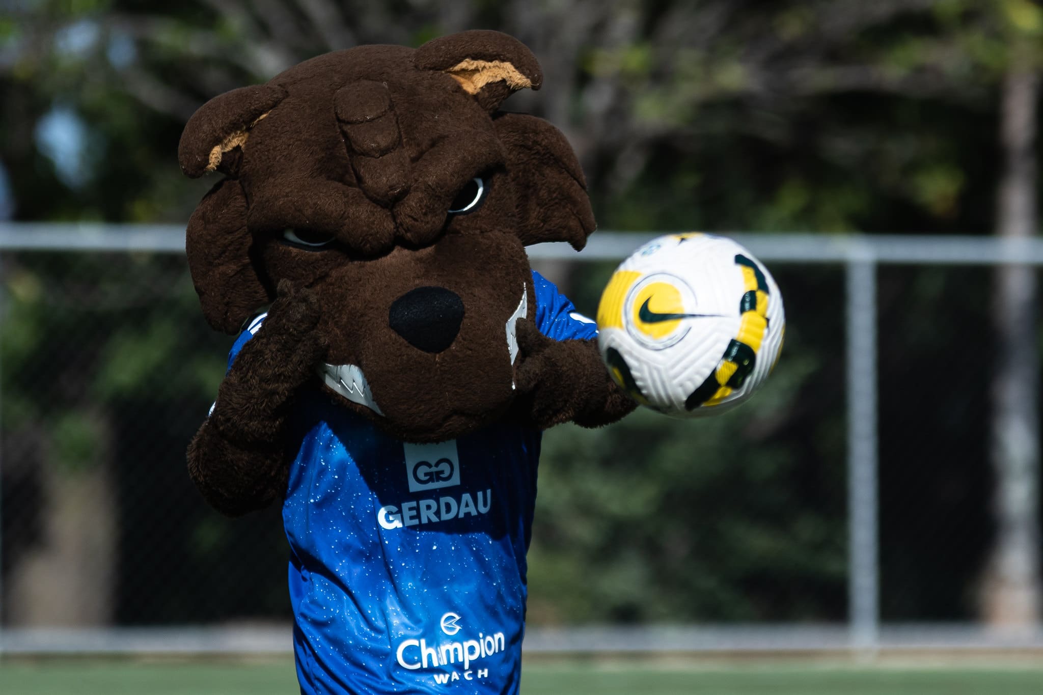 Cruzeiro Raposão