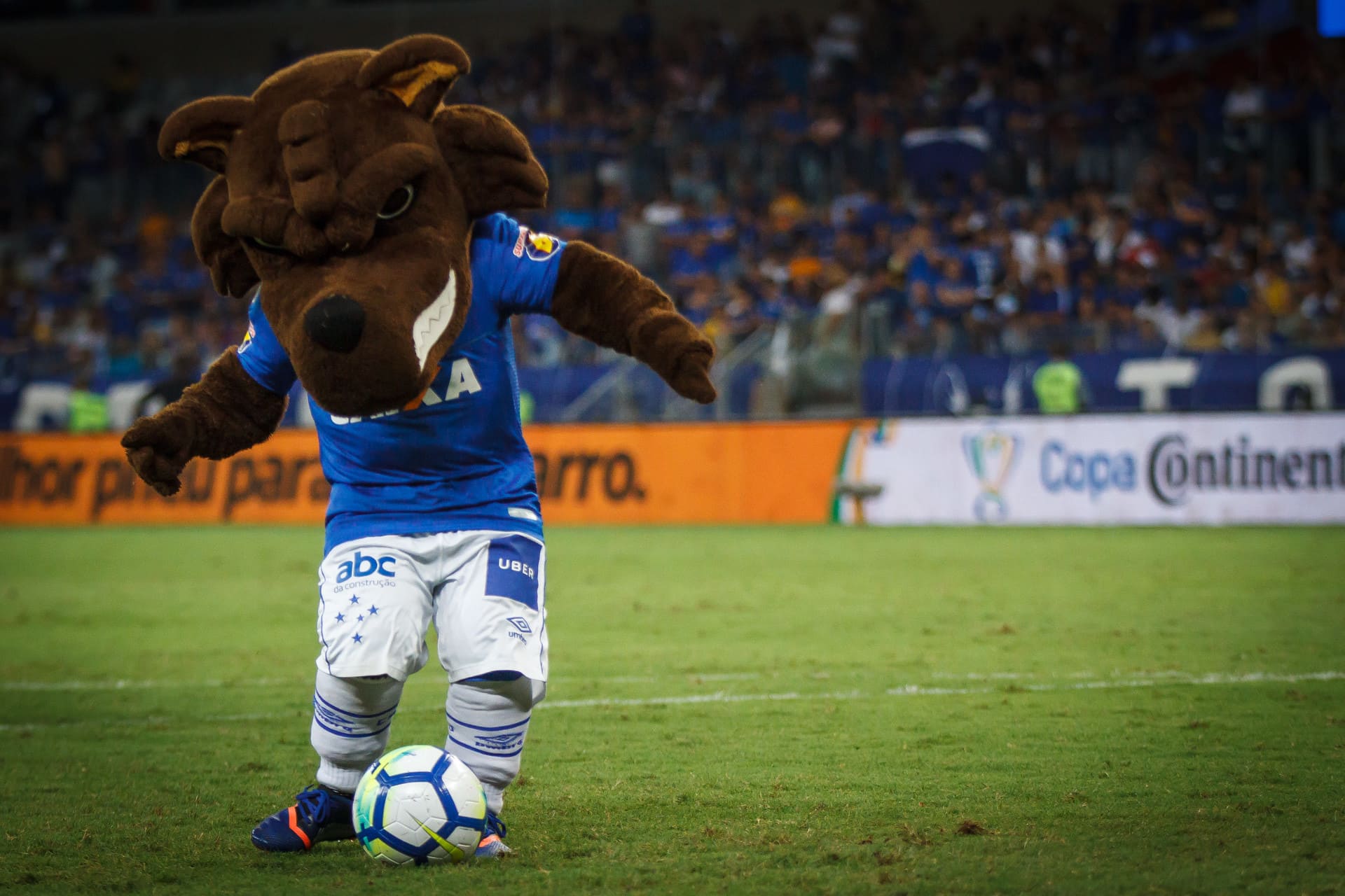 Raposão Cruzeiro