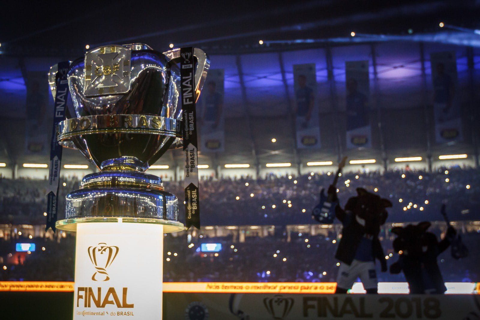 Cruzeiro Copa do Brasil