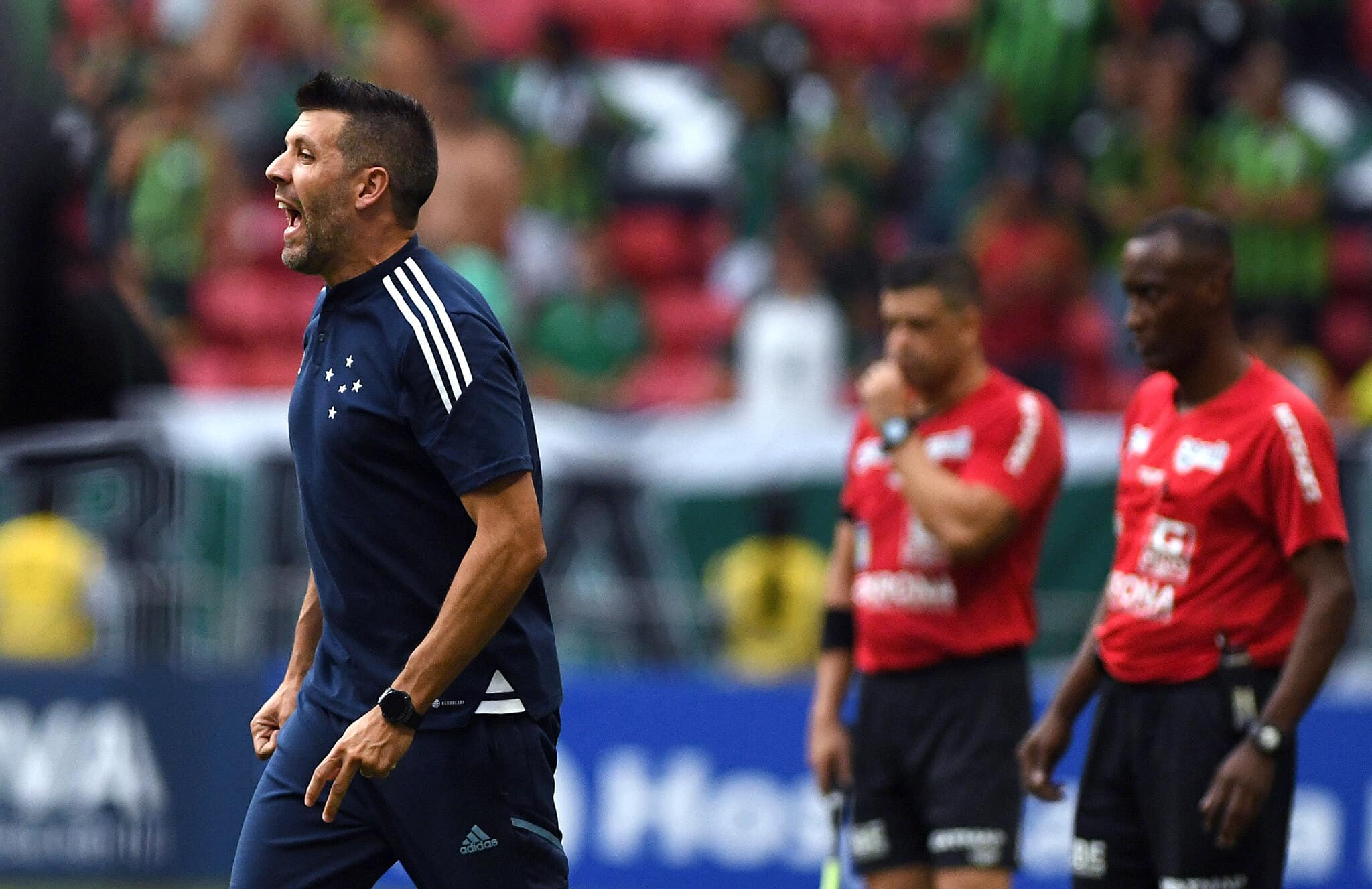 Pezzolano Cruzeiro
