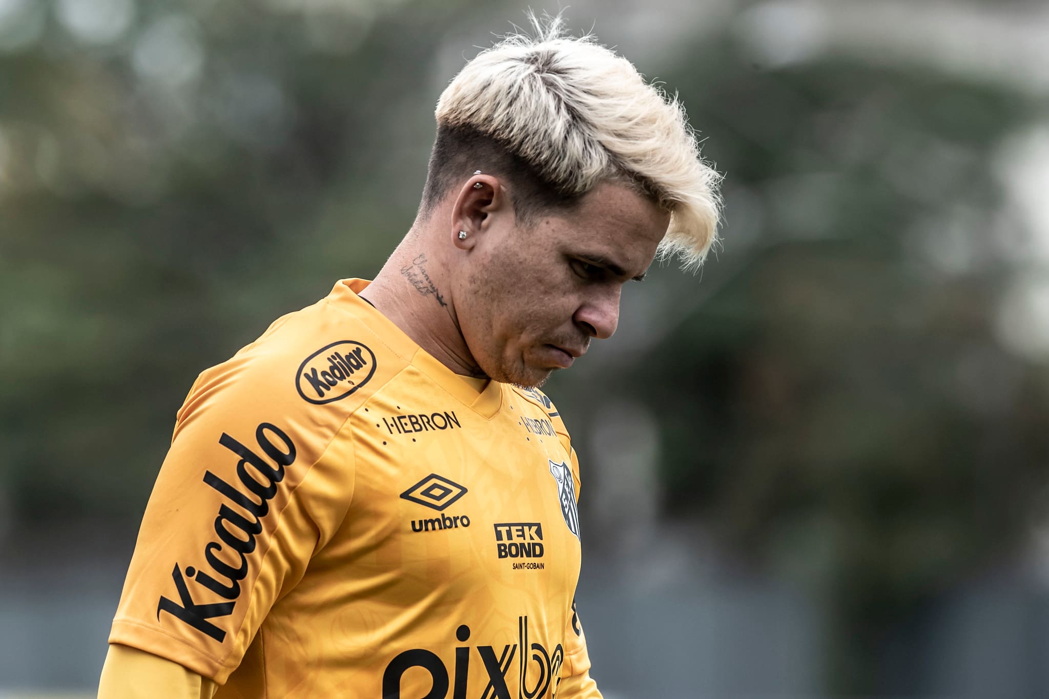 Soteldo Santos