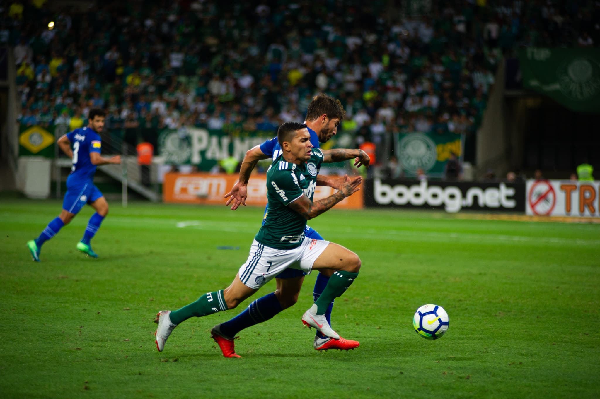 Cruzeiro x Palmeiras