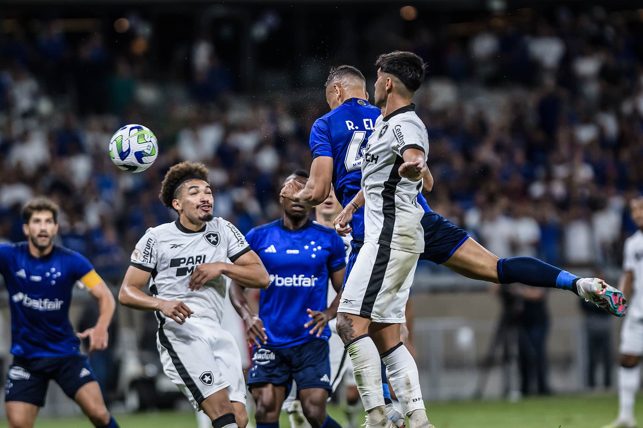 Papagaio Cruzeiro