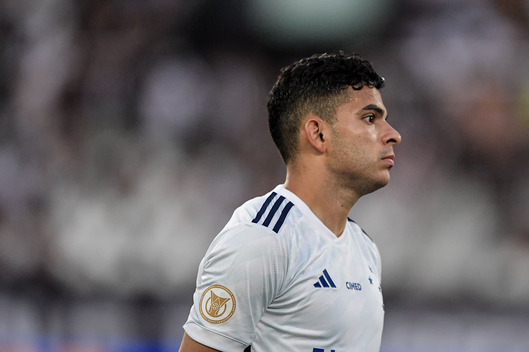 Bruno Rodrigues