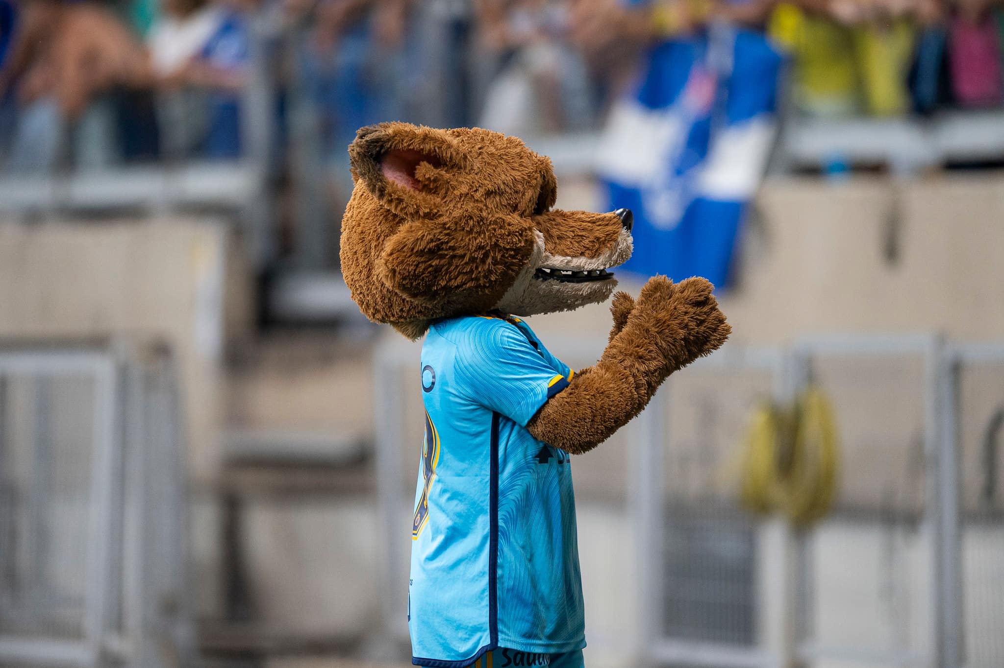Cruzeiro Raposinho