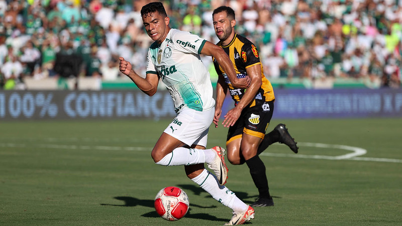 Bruno Rodrigues