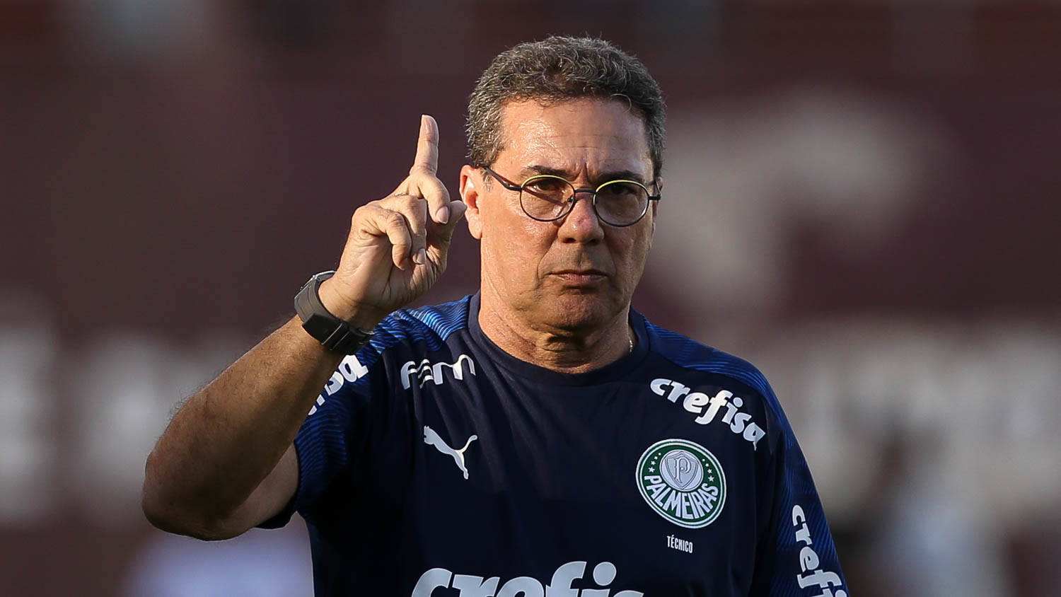 Vanderlei Luxemburgo assumiu as rédeas e anunciou 4 reforços para o Palmeiras