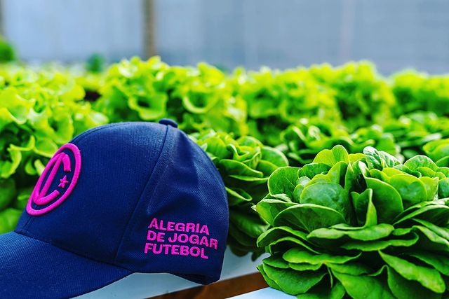 Primeiro clube de futebol VEGANO do Brasil ganha vaga na 1º divisão em 2025