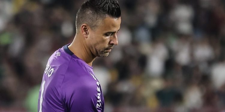 O retorno ao Cruzeiro: Fábio já assinou contrato para voltar