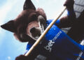 Por que o mascote do Cruzeiro é a raposa?