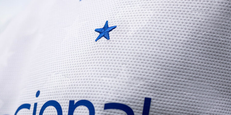 Qual o mascote do Cruzeiro?
